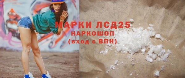 прущий лед Алзамай
