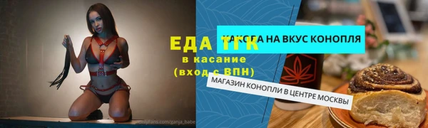 прущий лед Алзамай