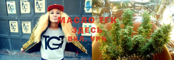 индика Медвежьегорск