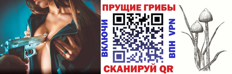наркошоп  MEGA   Галлюциногенные грибы прущие грибы  Белоозёрский 
